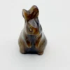 Lapin œil de tigre